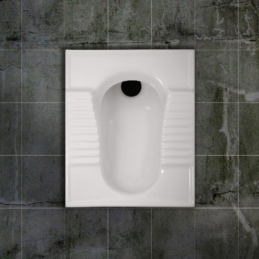 توالت زمینی نیلوفر 22 ریم لس گلسار